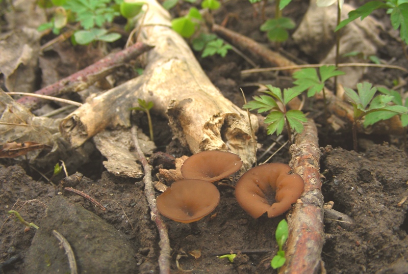 Escursione trentina con amara sorpresa